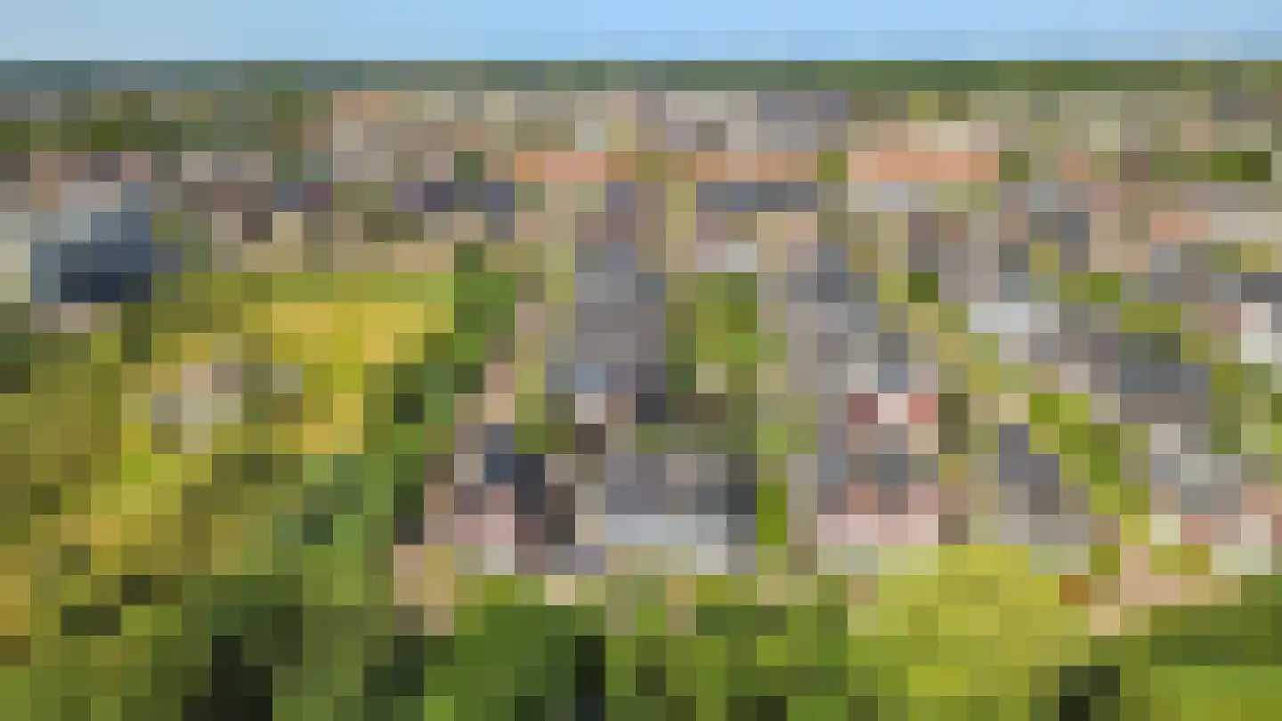 Paleistuinlaan 22 Vleuten thumbnail 53