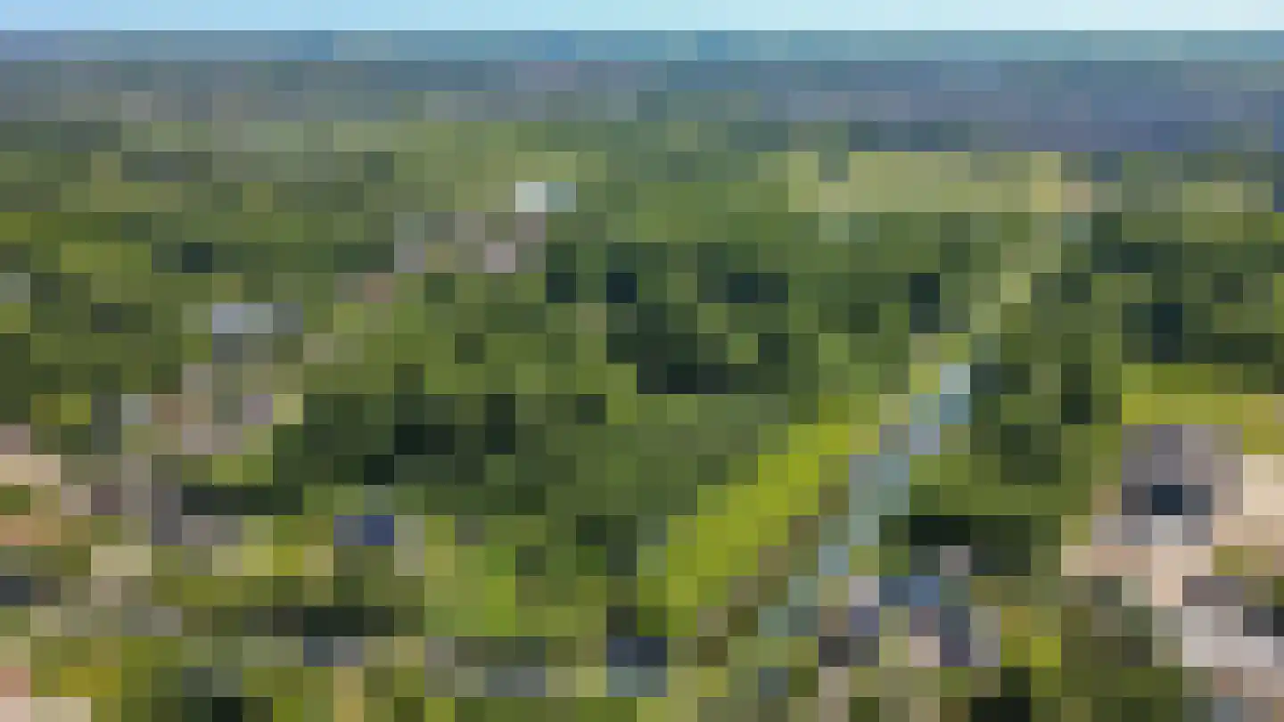 Paleistuinlaan 22 Vleuten thumbnail 56