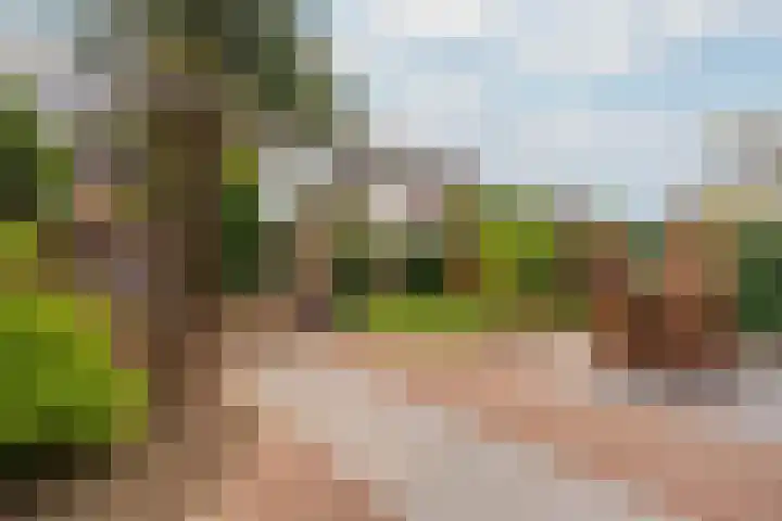 Paleistuinlaan 4 Vleuten thumbnail 10