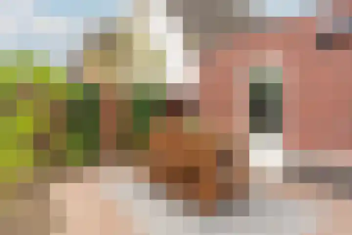 Paleistuinlaan 4 Vleuten thumbnail 11