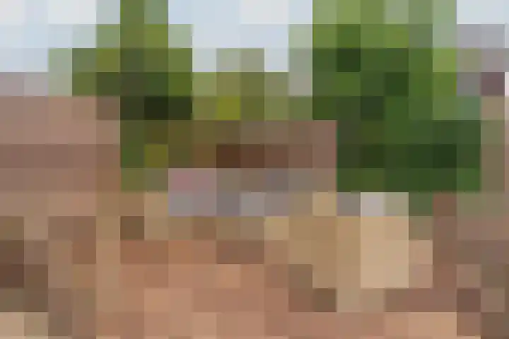 Paleistuinlaan 4 Vleuten thumbnail 13