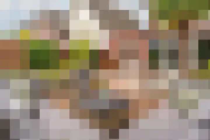 Paleistuinlaan 4 Vleuten thumbnail 14