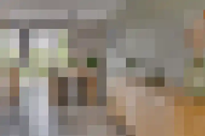 Paleistuinlaan 4 Vleuten thumbnail 15