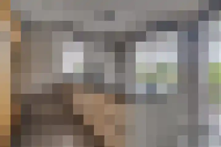 Paleistuinlaan 4 Vleuten thumbnail 19