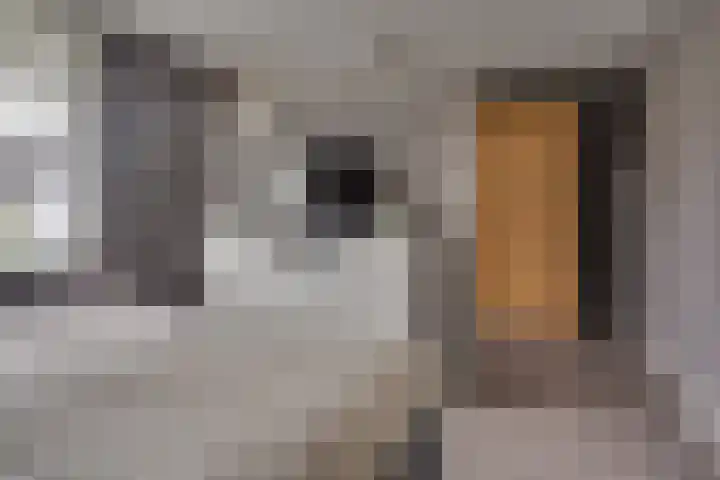 Paleistuinlaan 4 Vleuten thumbnail 23