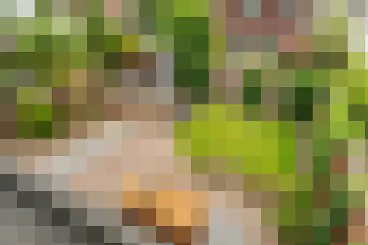 Paleistuinlaan 4 Vleuten thumbnail 25