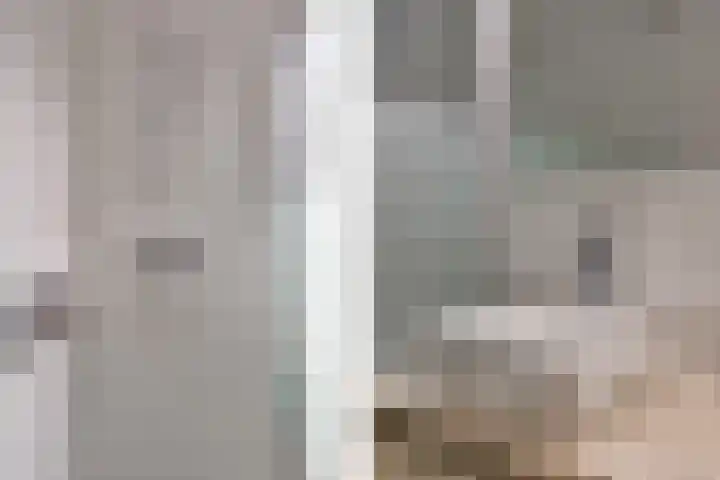 Paleistuinlaan 4 Vleuten thumbnail 27