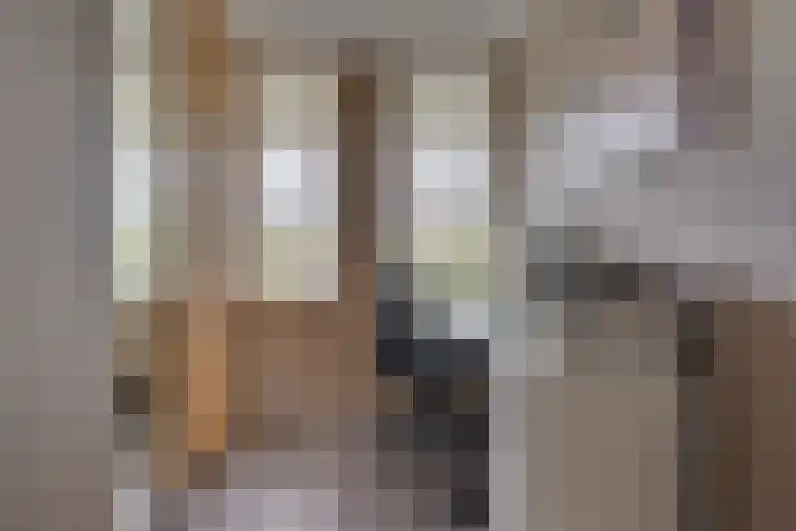 Paleistuinlaan 4 Vleuten thumbnail 30