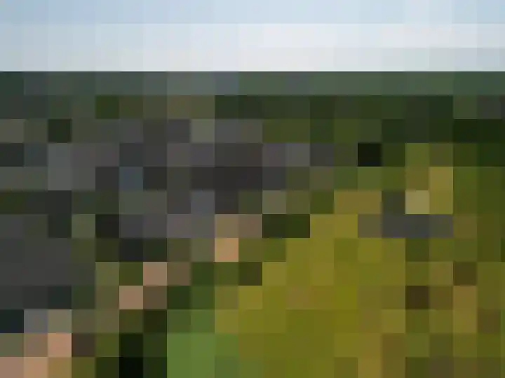 Paleistuinlaan 4 Vleuten thumbnail 38