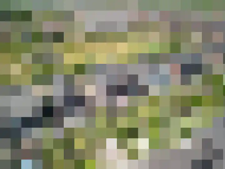 Paleistuinlaan 4 Vleuten thumbnail 39