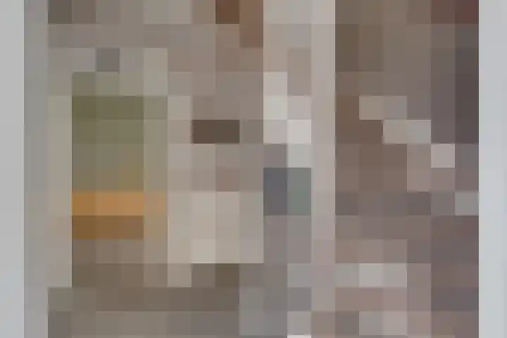 Paleistuinlaan 4 Vleuten thumbnail 5