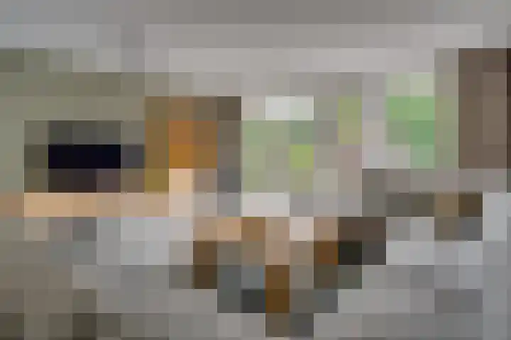 Paleistuinlaan 4 Vleuten thumbnail 8