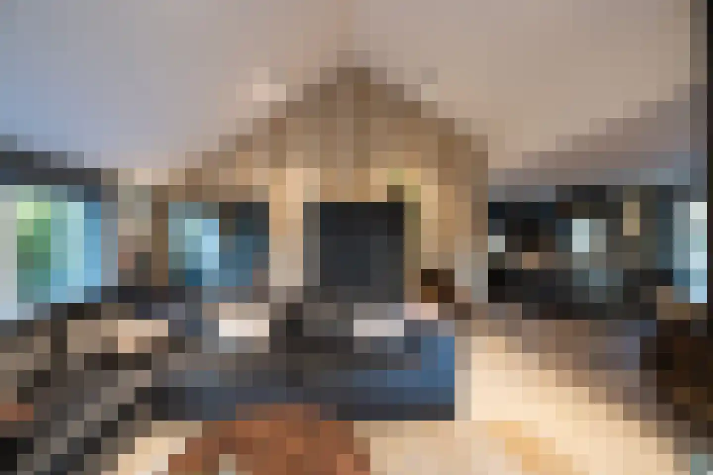 Paleisweg 12 Garderen thumbnail 12