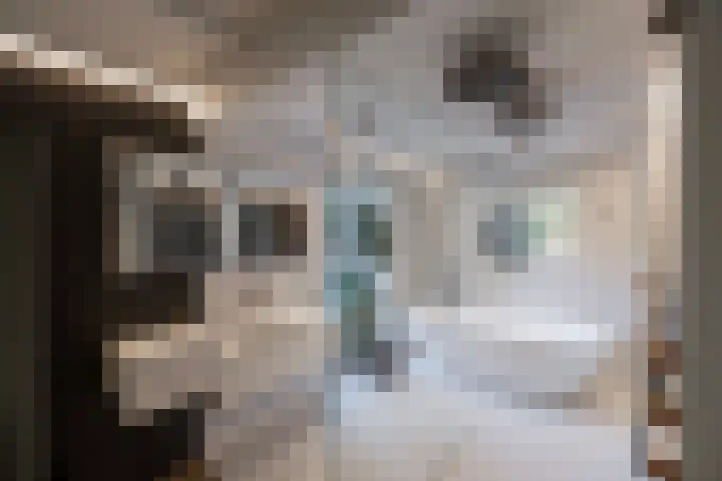 Paleisweg 12 Garderen thumbnail 18