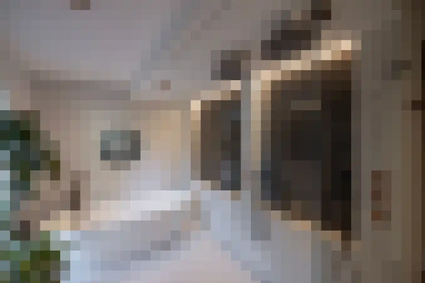Paleisweg 12 Garderen thumbnail 19