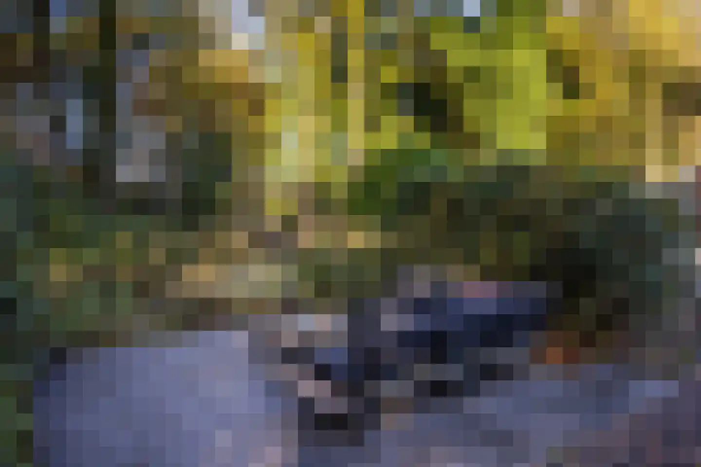 Paleisweg 12 Garderen thumbnail 47