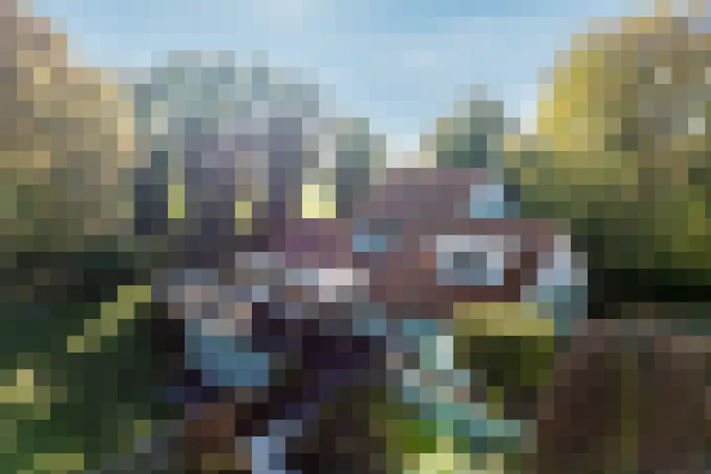 Paleisweg 12 Garderen thumbnail 52