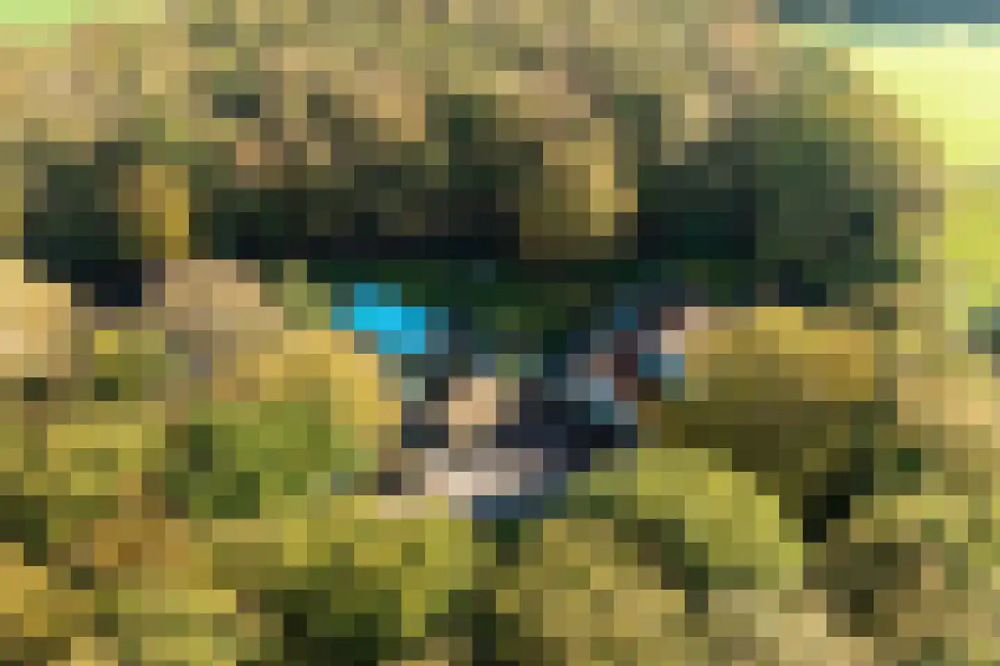 Paleisweg 12 Garderen thumbnail 76