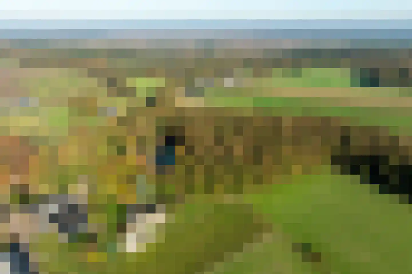 Paleisweg 12 Garderen thumbnail 78
