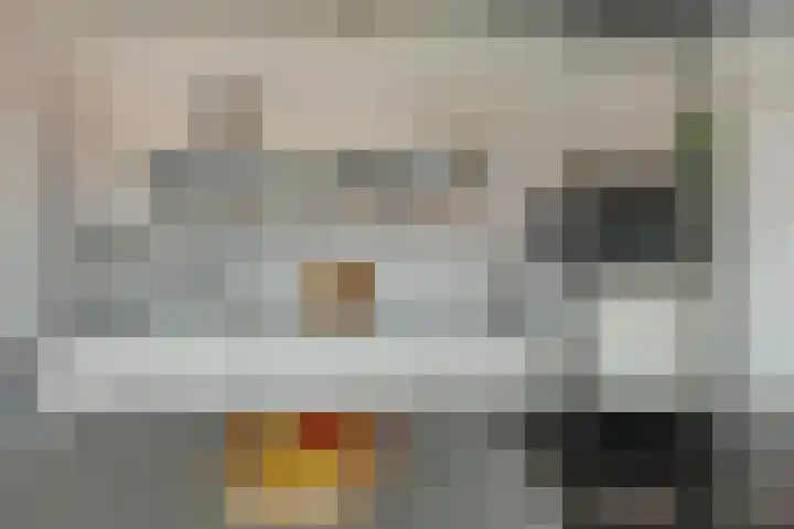 Palembangstraat 17 Groningen thumbnail 11