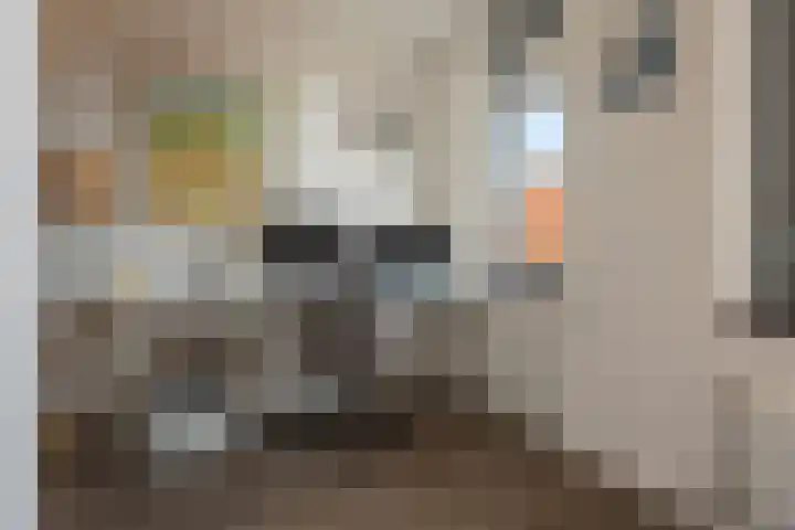 Palembangstraat 17 Groningen thumbnail 19