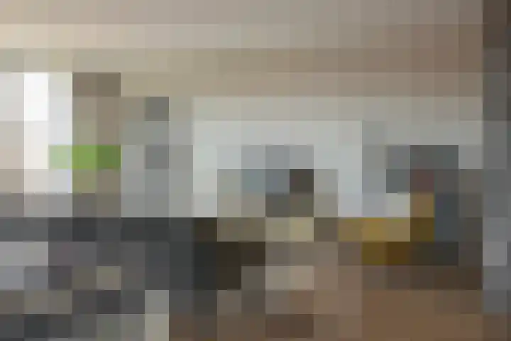 Palembangstraat 23 Groningen thumbnail 16