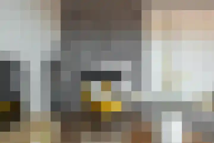 Palembangstraat 23 Groningen thumbnail 18