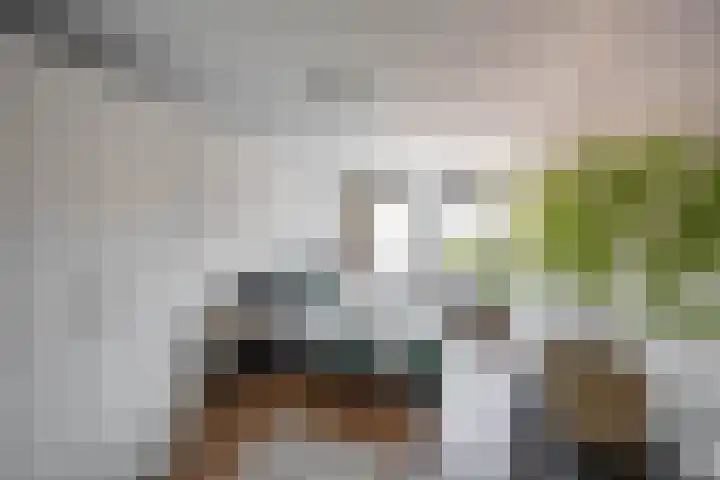 Palembangstraat 23 Groningen thumbnail 21