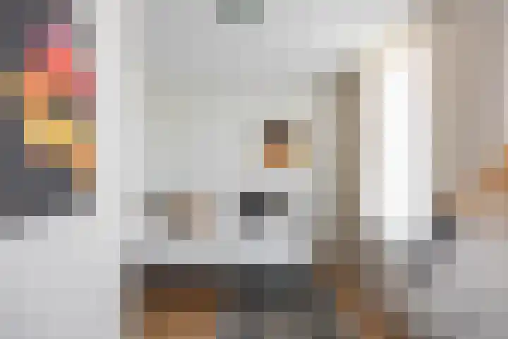 Palembangstraat 23 Groningen thumbnail 24