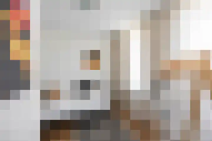 Palembangstraat 23 Groningen thumbnail 25