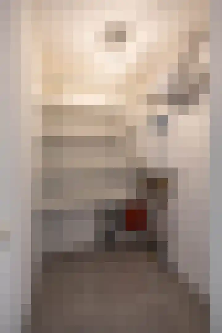 Palembangstraat 23 Groningen thumbnail 30