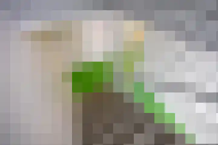 Palembangstraat 23 Groningen thumbnail 32