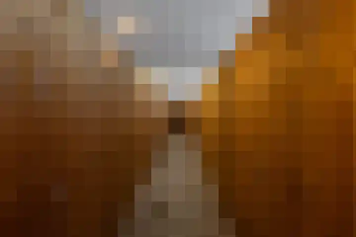 Palembangstraat 23 Groningen thumbnail 33