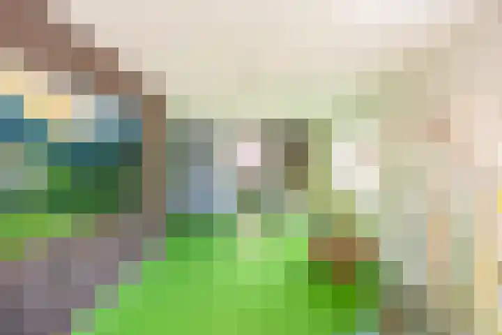 Palembangstraat 23 Groningen thumbnail 4