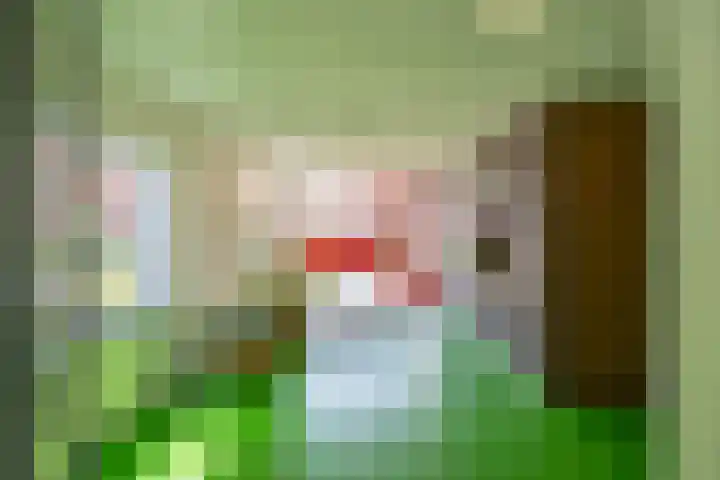 Palembangstraat 23 Groningen thumbnail 5