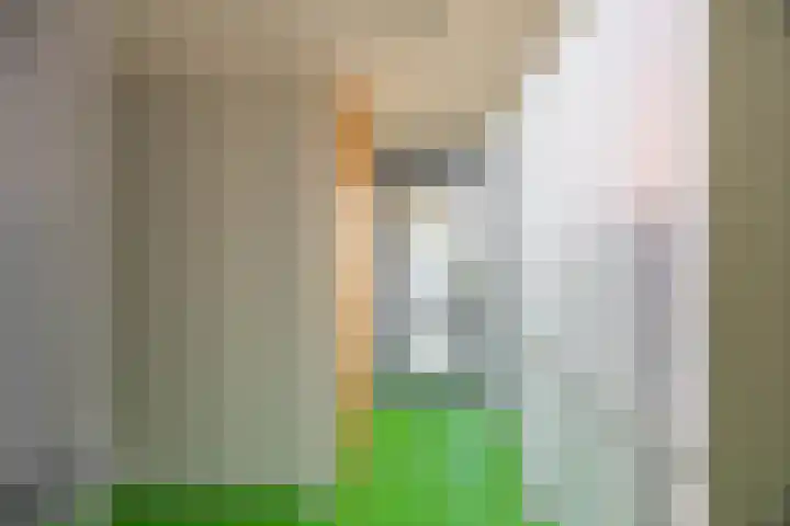 Palembangstraat 23 Groningen thumbnail 6