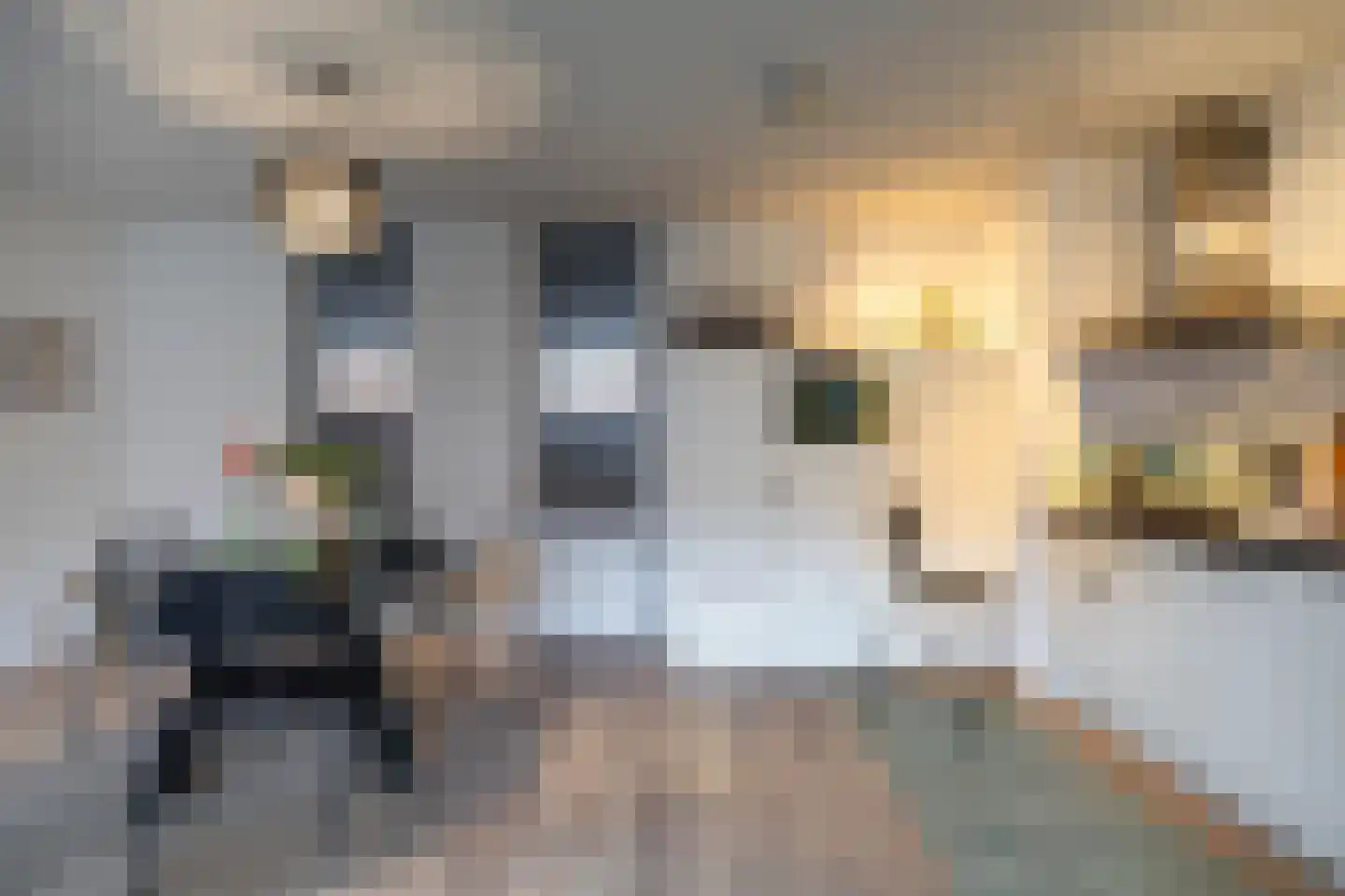 Palembangstraat 3 Groningen thumbnail 22