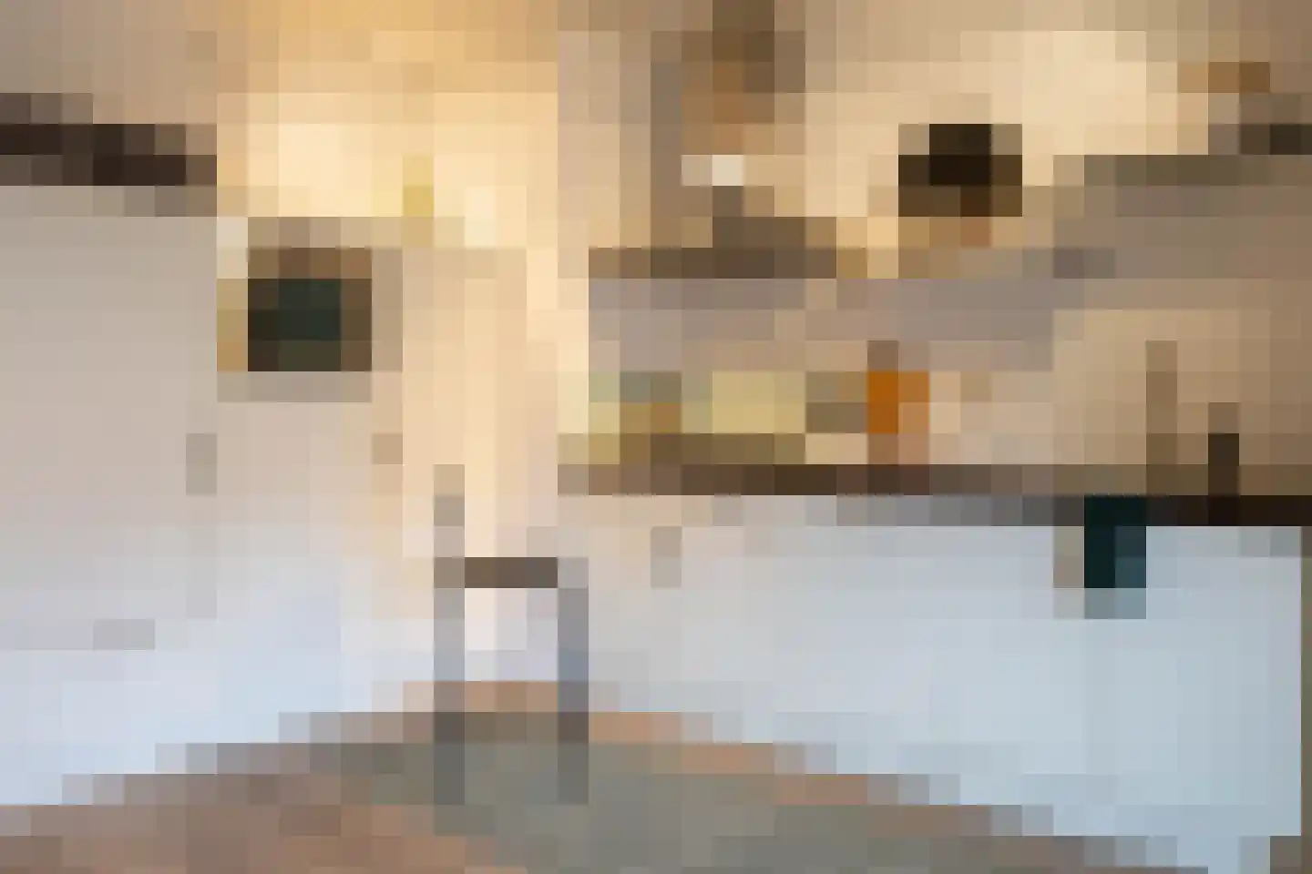 Palembangstraat 3 Groningen thumbnail 25
