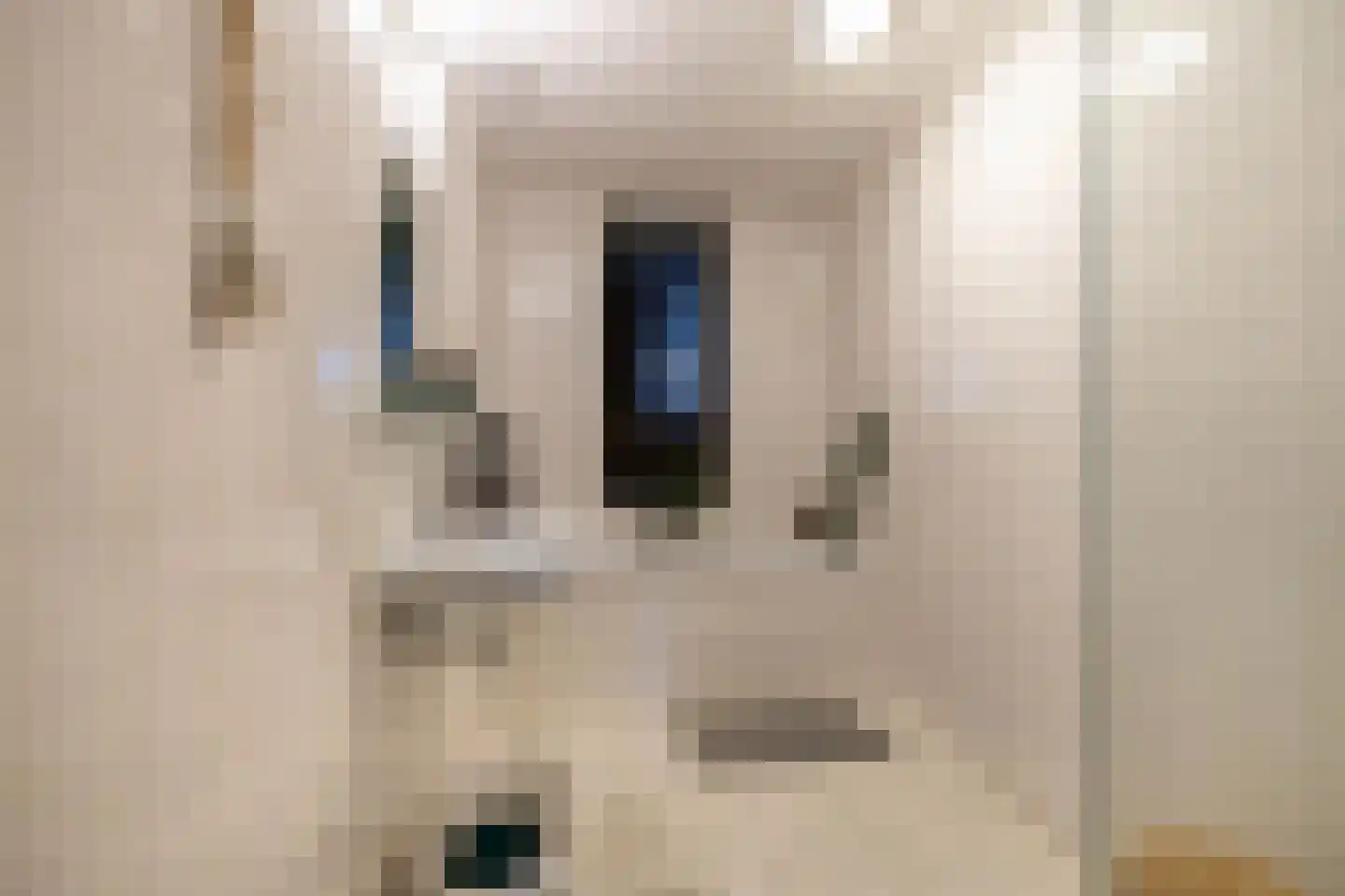 Palembangstraat 3 Groningen thumbnail 30