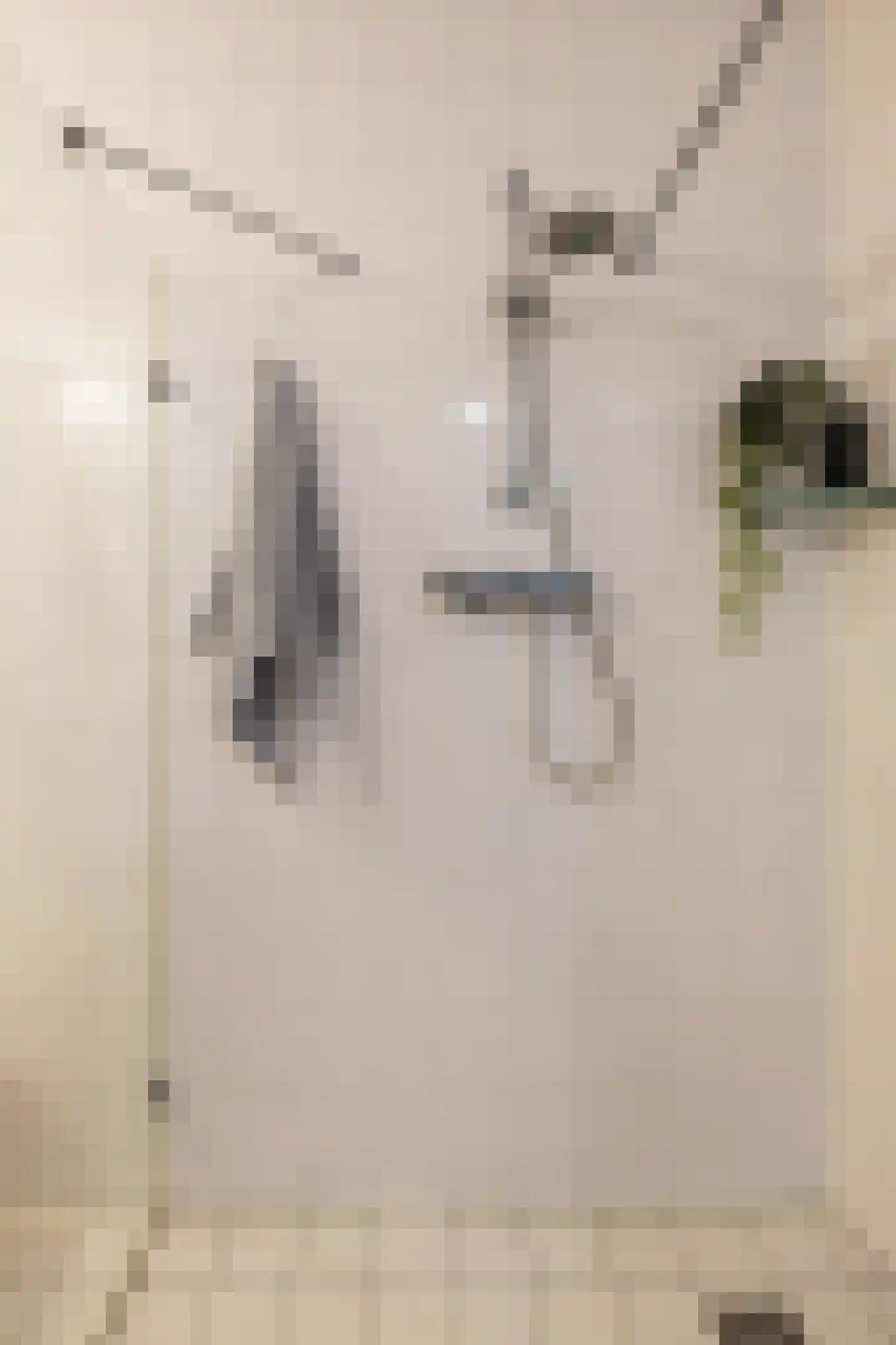 Palembangstraat 3 Groningen thumbnail 34