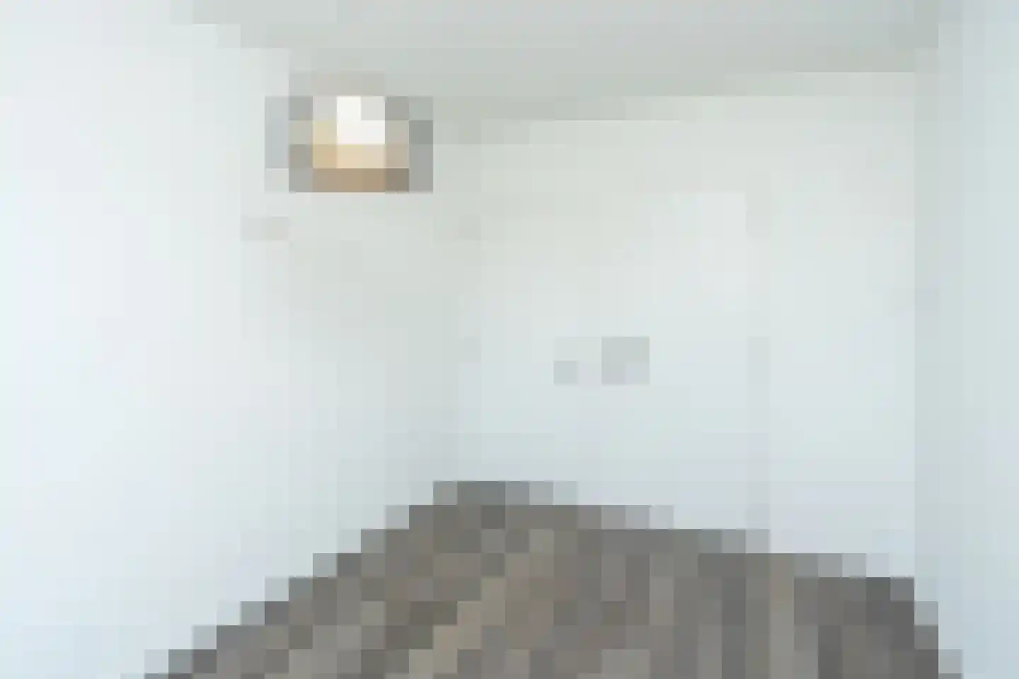 Palembangstraat 30 Nijmegen thumbnail 27