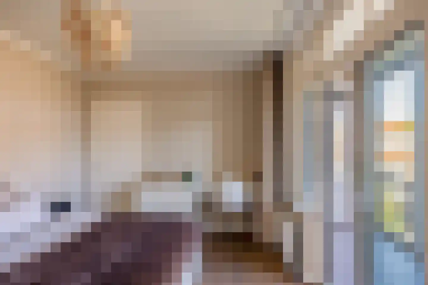 Palembangstraat 40 Nijmegen thumbnail 25
