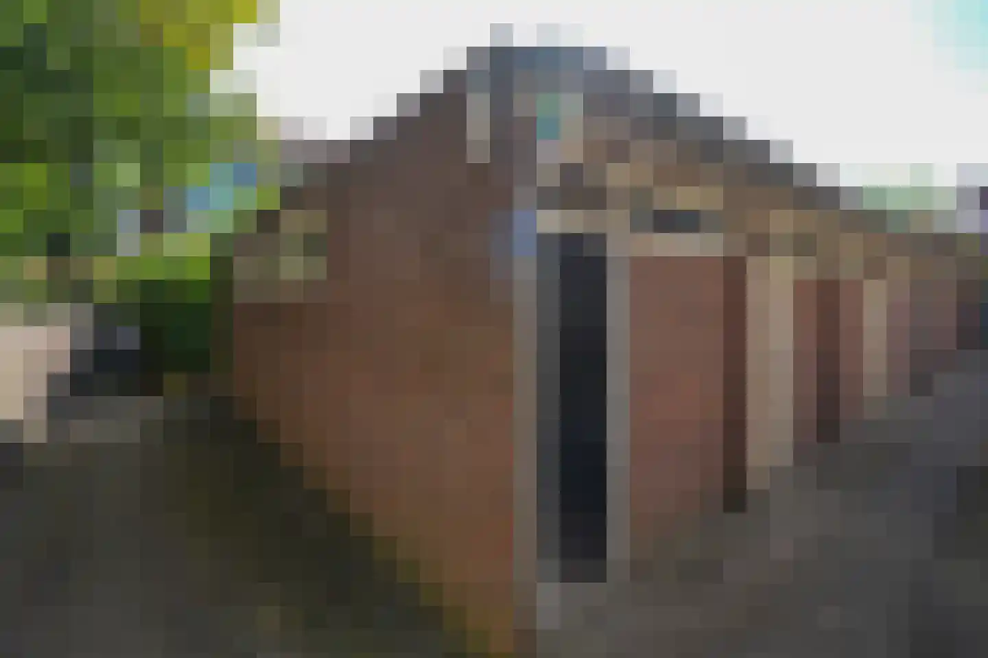 Palembangstraat 44 Nijmegen thumbnail 36