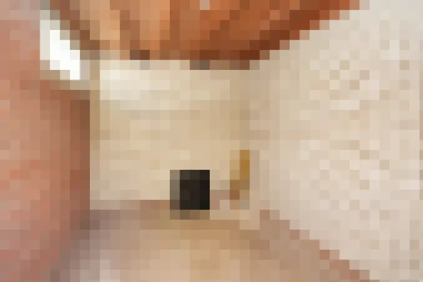 Palembangstraat 44 Nijmegen thumbnail 37
