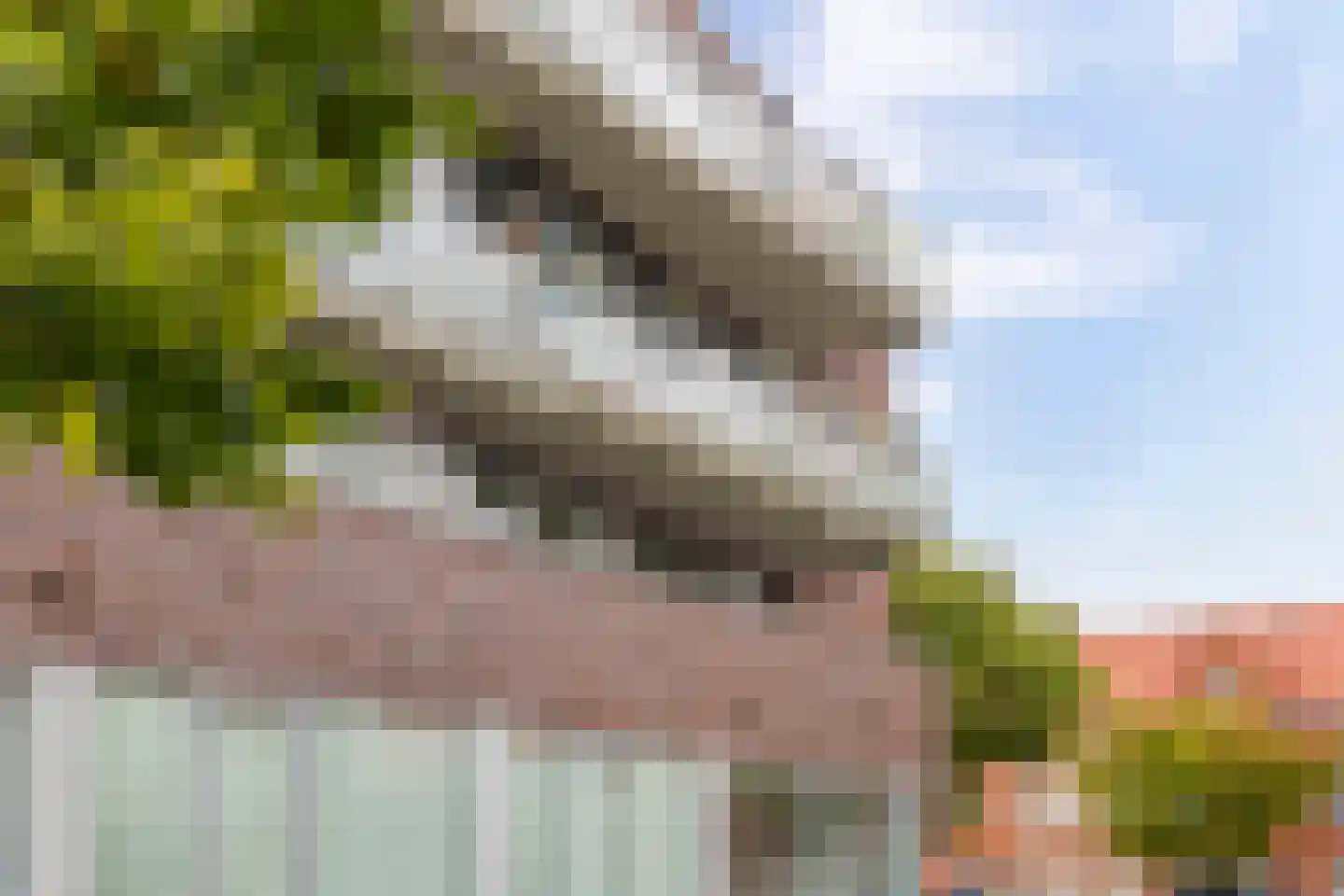 Palembangstraat 9 Groningen thumbnail 11