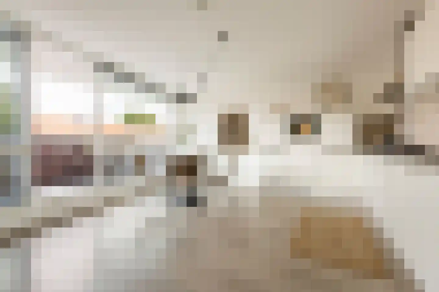 Palembangstraat 9 Groningen thumbnail 23