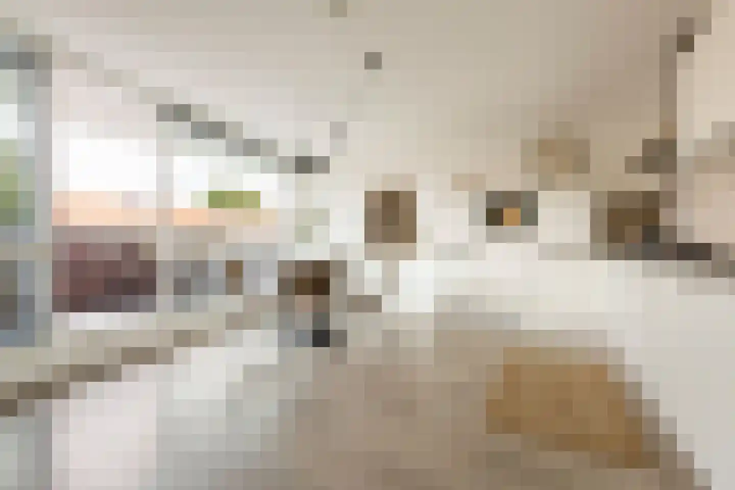 Palembangstraat 9 Groningen thumbnail 23