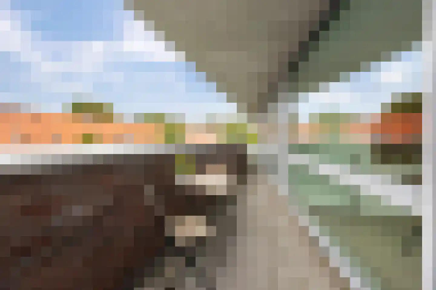 Palembangstraat 9 Groningen thumbnail 38