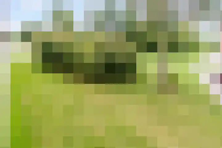Palembangweg 24 Almere thumbnail 11