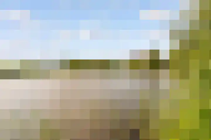 Palembangweg 24 Almere thumbnail 31